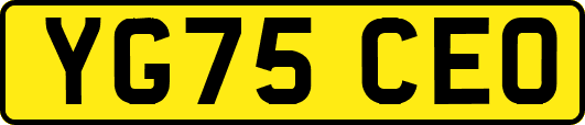 YG75CEO