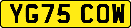 YG75COW