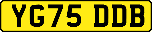 YG75DDB