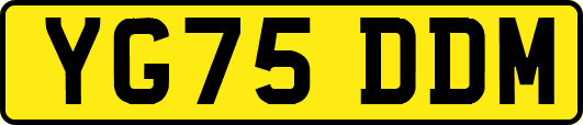 YG75DDM