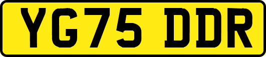 YG75DDR