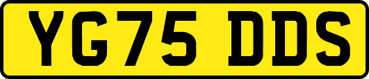 YG75DDS