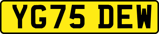 YG75DEW