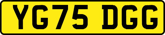 YG75DGG