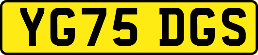 YG75DGS