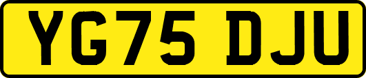 YG75DJU