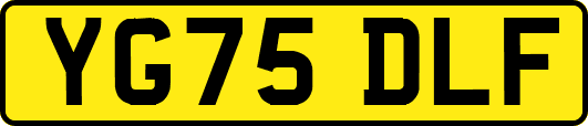 YG75DLF