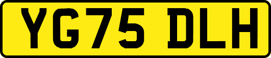 YG75DLH