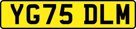 YG75DLM