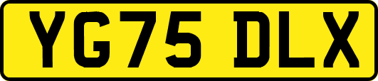 YG75DLX