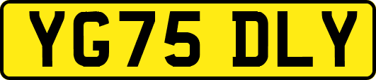 YG75DLY