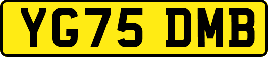 YG75DMB