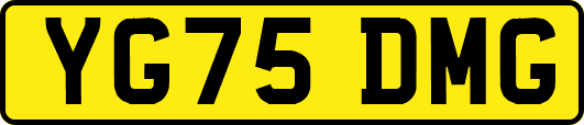 YG75DMG