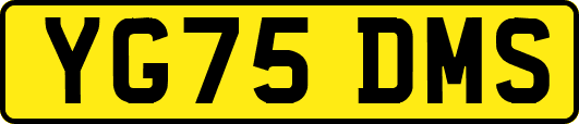 YG75DMS