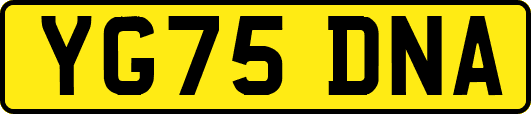 YG75DNA