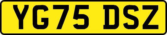YG75DSZ