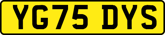 YG75DYS