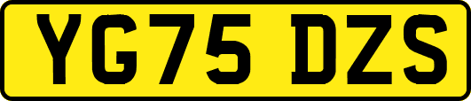 YG75DZS