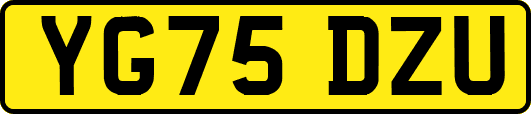 YG75DZU