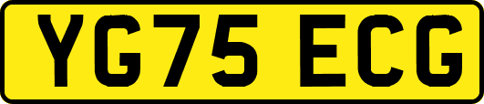 YG75ECG
