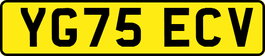 YG75ECV