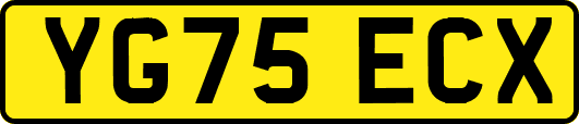 YG75ECX