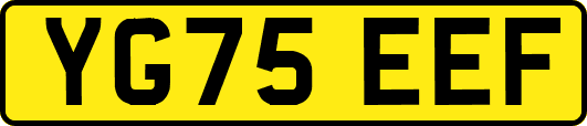 YG75EEF