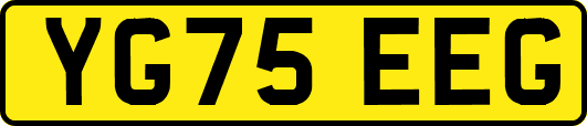 YG75EEG