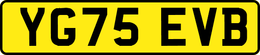 YG75EVB