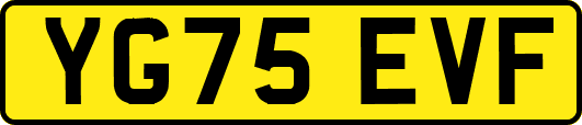 YG75EVF