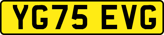 YG75EVG