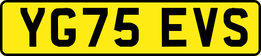 YG75EVS