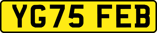YG75FEB