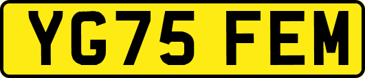 YG75FEM