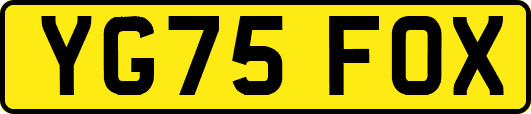 YG75FOX
