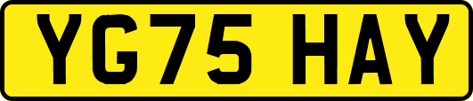 YG75HAY