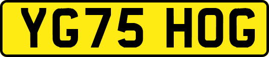 YG75HOG
