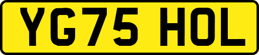 YG75HOL