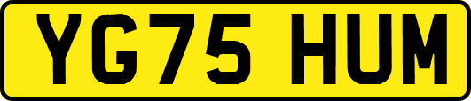 YG75HUM