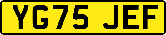 YG75JEF