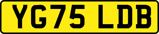 YG75LDB