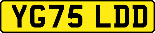 YG75LDD