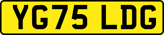 YG75LDG