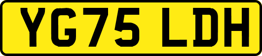 YG75LDH