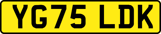 YG75LDK