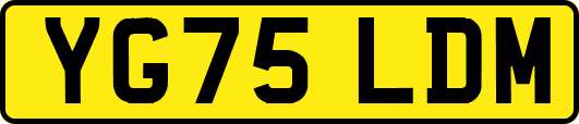 YG75LDM