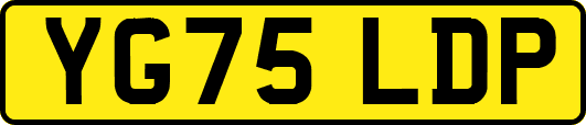 YG75LDP