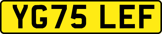 YG75LEF
