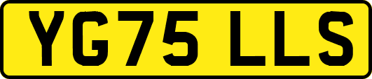 YG75LLS