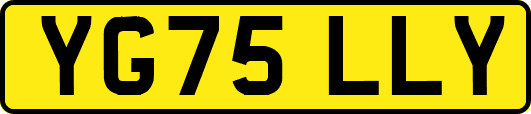 YG75LLY